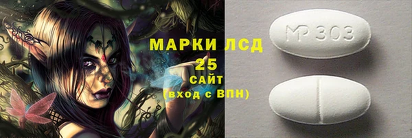 мдпв Бородино