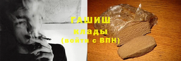 мдпв Бородино