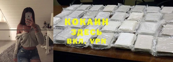 мдпв Бородино