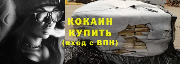 мдпв Бородино