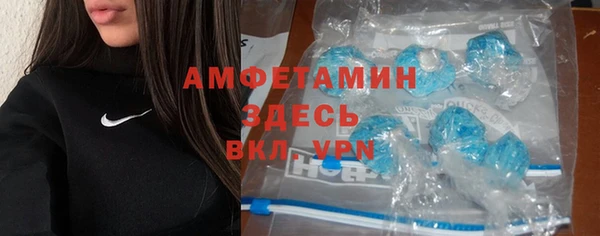 мдпв Бородино