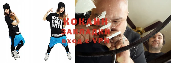 мдпв Бородино