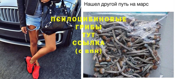 тгк Бугульма