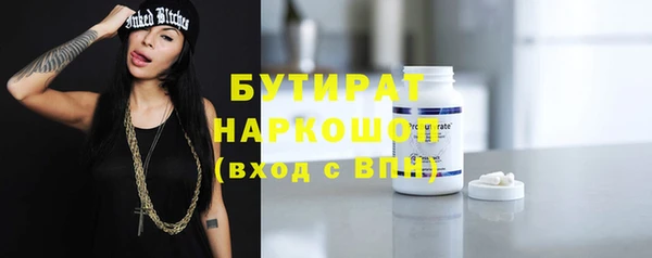 мдпв Бородино