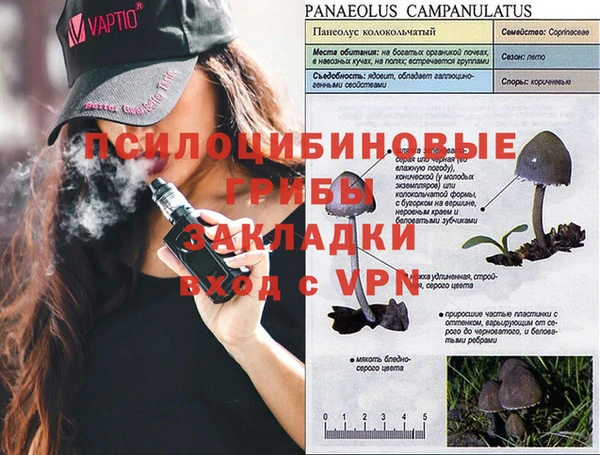 тгк Бугульма