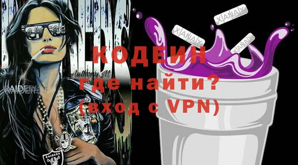 мдпв Бородино