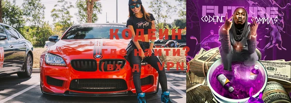 мдпв Бородино