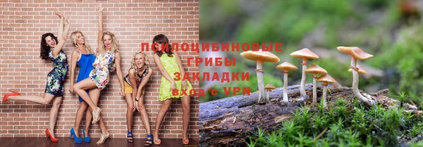 мдпв Бородино