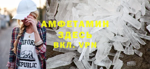 мдпв Бородино