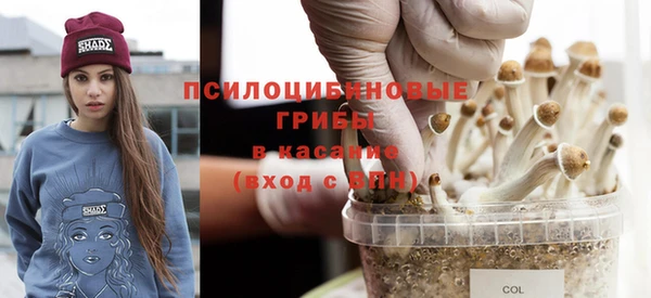 мдпв Бородино