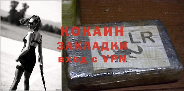 мдпв Бородино