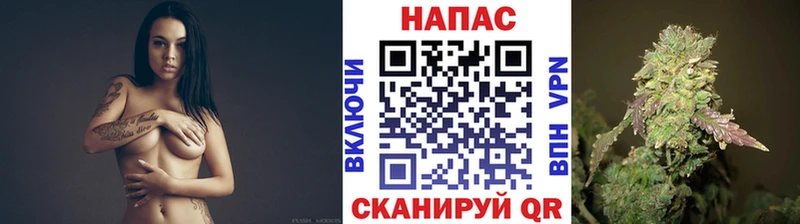 Купить  Волосово  Бошки Шишки тримм 